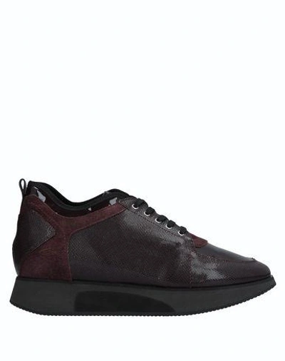 Alberto Guardiani Trainers In Maroon