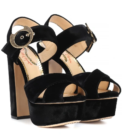 Charlotte Olympia Bejewelled Aristocat Velvet Platform Sandals In Black
