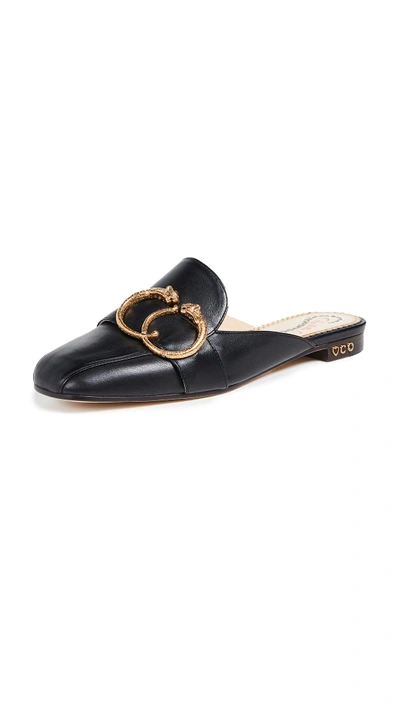 Charlotte Olympia 10mm Leather Mules W/ Buckle In Black