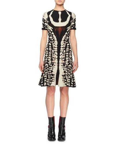 Alexander Mcqueen Crewneck Short-sleeve Abstract Bug-jacquard Flared Knit Dress In Black/ivory