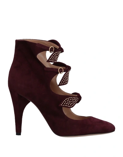 Chloé Ankle Boots In Maroon