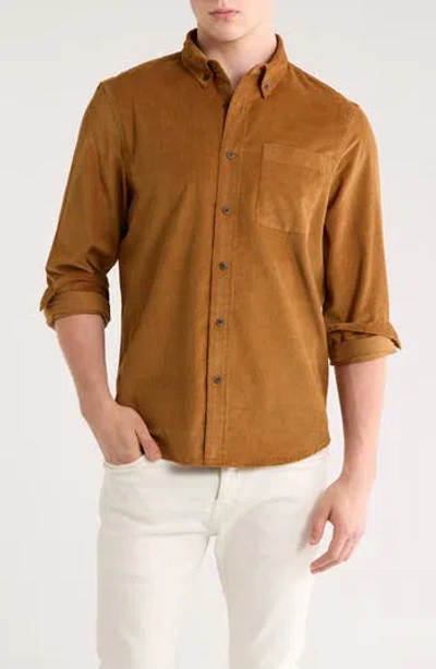 14th & Union Corduroy Button-down Shirt In Brown