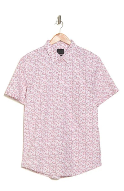 14th & Union Crab Print Stretch Poplin Short Sleeve Button-down Shirt In Ivory- Pink Crabs