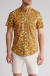 14th & Union Palms Short Sleeve Stretch Cotton Button-up Shirt In Olive- Orange Lush Palms