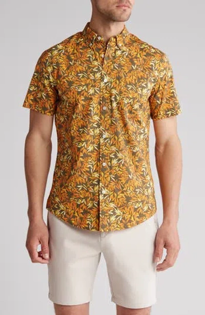 14th & Union Palms Short Sleeve Stretch Cotton Button-up Shirt In Olive- Orange Lush Palms