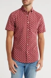 14th & Union Seersucker Short Sleeve Lace Foulard Button-up Shirt In Red Russet Lace Foulard