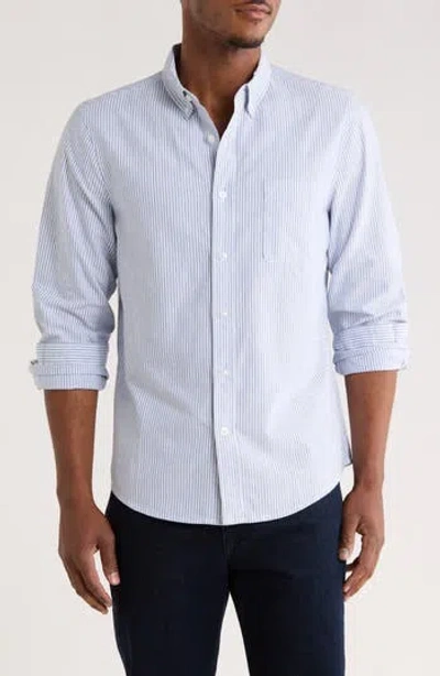 14th & Union Stripe Cotton Oxford Button-down Shirt In Blue