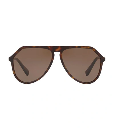 Dolce & Gabbana Dg4341 Pilot Sunglasses In Brown