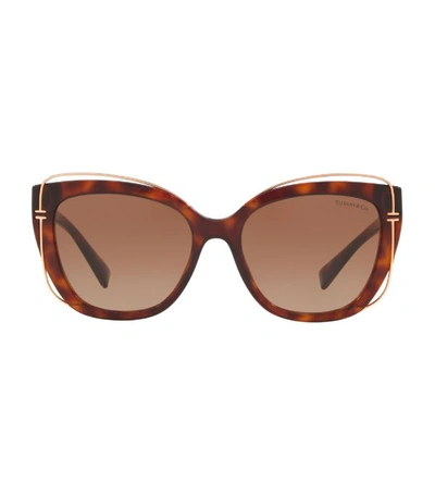 Tiffany & Co 54mm Gradient Cat Eye Sunglasses In Havana Gradient