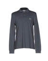 Lacoste Polo Shirt In Lead