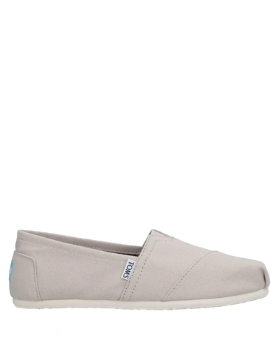 Toms Trainers In Light Grey
