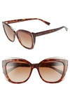 Tiffany & Co 54mm Gradient Cat Eye Sunglasses In Havana Gradient