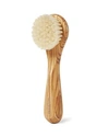 MILA MOURSI COMPLEXION BRUSH,300025509