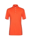 FEDELI POLO SHIRTS,12214593AD 5