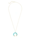 ARGENTO VIVO Horn Turquoise Necklace,825964GTQ