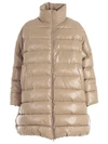 HACHE CLASSIC PADDED JACKET,10653209