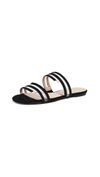 BOTKIER Maisie Slides