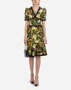 DOLCE & GABBANA PRINTED CADY DRESS,F6B1BTFSRIKHNE09