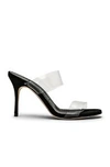 Manolo Blahnik Scolto Clear Two-band Slide Sandals In Black