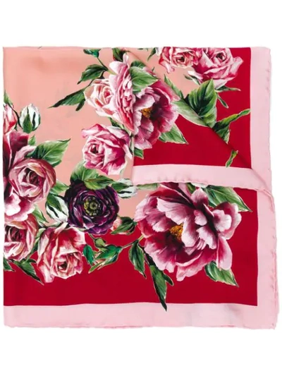 Dolce & Gabbana Majolica印花真丝领巾 In Pink