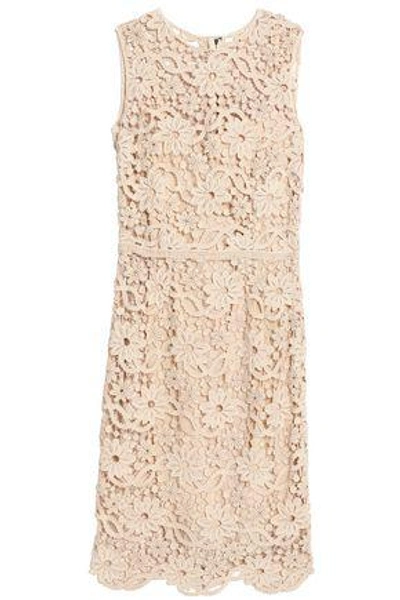 Dolce & Gabbana Woman Cotton Guipure Lace Dress Beige