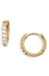 Estella Bartlett Crystal Pavé Huggie Hoop Earrings In Gold