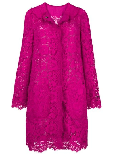 Dolce & Gabbana 蕾丝刺绣大衣 In Pink