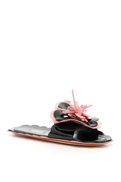 Miu Miu Patent Flower Flat Slide Sandal, Black/pink