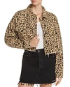 SUNSET & SPRING SUNSET + SPRING LEOPARD PRINT CROPPED DENIM JACKET - 100% EXCLUSIVE,S5454D