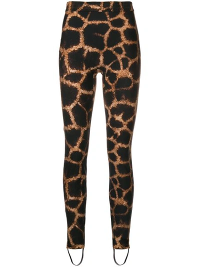 Dolce & Gabbana Giraffee Printed Trousers In Brown