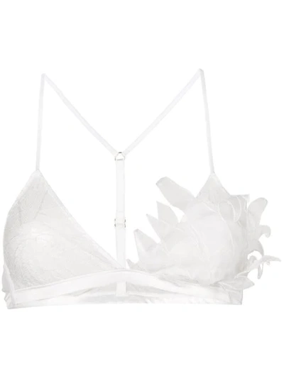 Yes Master Embroidered Sheer Bra In White
