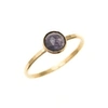 FEATHER+STONE Gold Iolite Ring