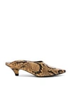 PROENZA SCHOULER PROENZA SCHOULER PYTHON PRINT KITTEN HEEL MULES IN CURRY,PROE-WZ86