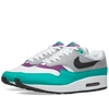 NIKE Nike Air Max 1 W,319986-11513