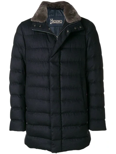 Herno Padded High-neck Coat In Blue