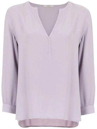 Egrey Long Sleeved Blouse In Pink