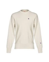 Champion In Ivory