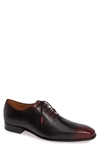 MEZLAN GENARO MEDALLION TOE OXFORD,8588