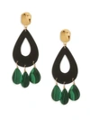 NEST 24K Goldplated Malachite Drop Earrings