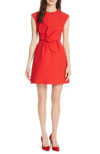 ted baker daysea dress