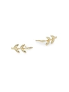 SAKS FIFTH AVENUE 14K Gold Small Leaf Stud Earrings,0400099253657