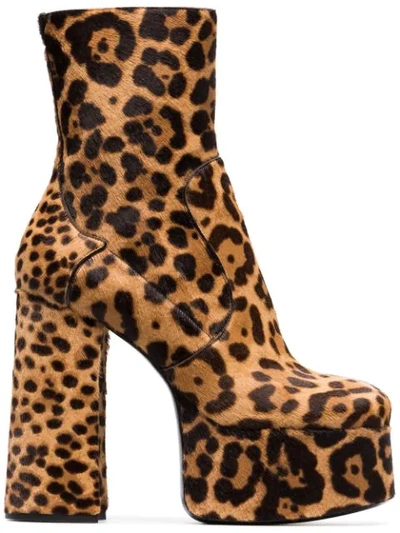 Saint Laurent Billy Leopard-print Calf Hair Platform Ankle Boots In Beige Comb