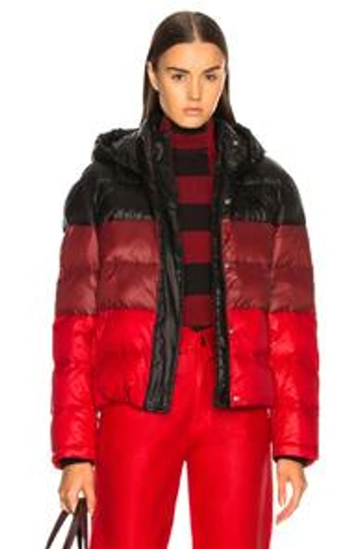 Proenza Schouler Striped Nylon Hooded Puffer Jacket In Black/red