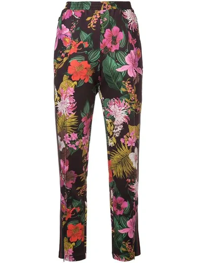 Moncler Floral-print Straight-leg Track Trousers In Red