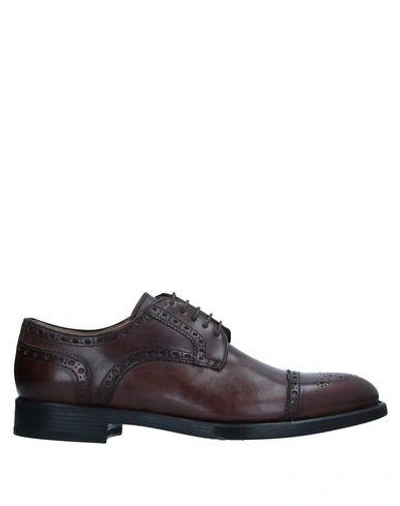 Alexander Laced Shoes In Dark Brown