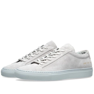 Common Projects Woman By  Original Achilles Low Suede In Grey