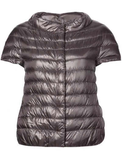 Herno Shortsleeved Quilted Gilet In Grey