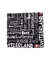 VETEMENTS 'SWITZERLAND' FLEECE SCARF,WAH19AC317/switzerland
