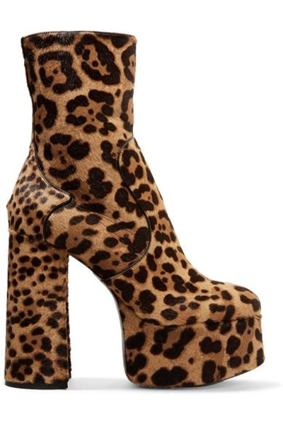 Saint Laurent Billy Leopard-print Calf Hair Platform Ankle Boots In Beige Comb