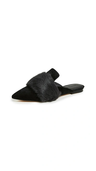 Sigerson Morrison Dawn Point Toe Mules In Black Grey